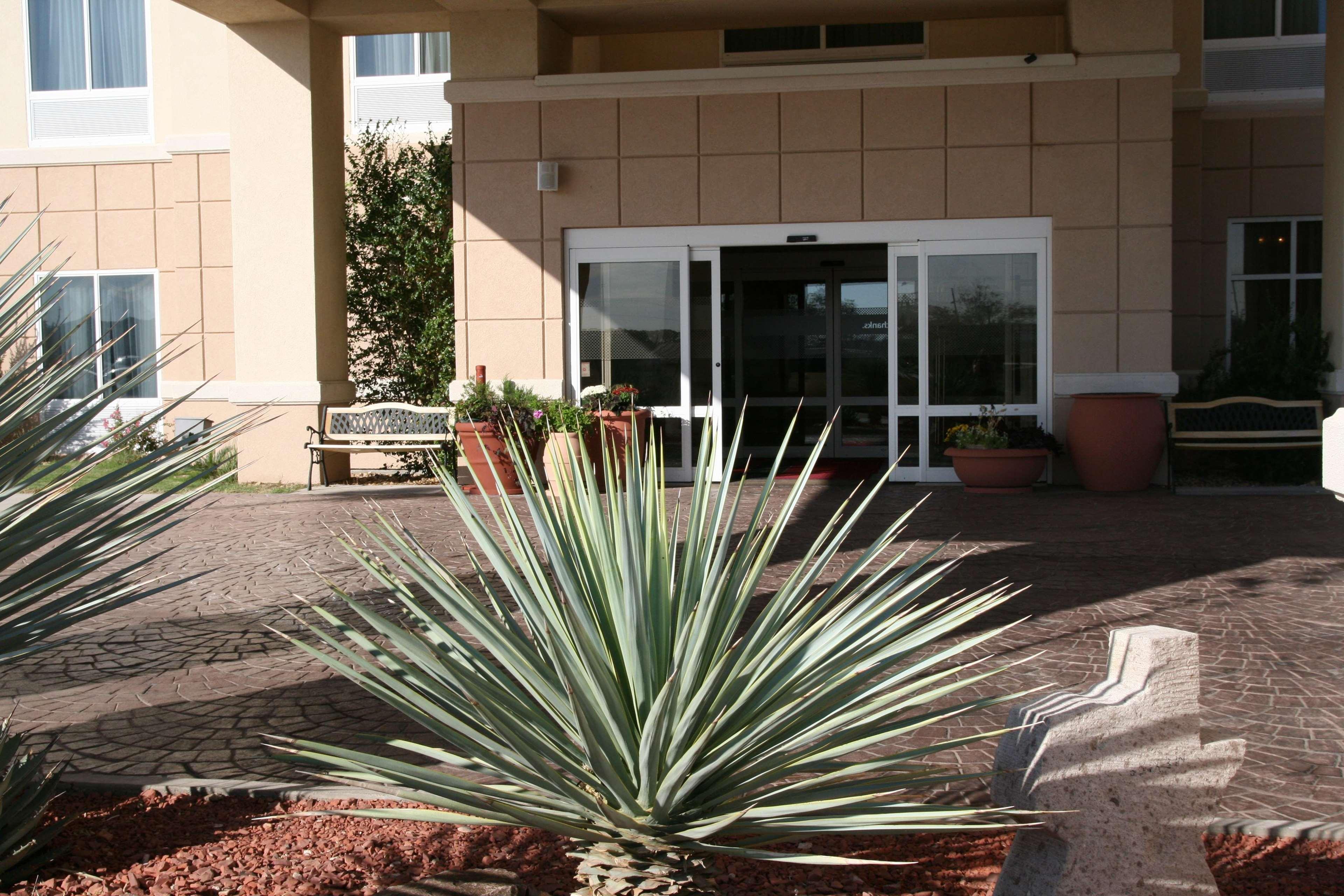 Hampton Inn Алпайн Экстерьер фото